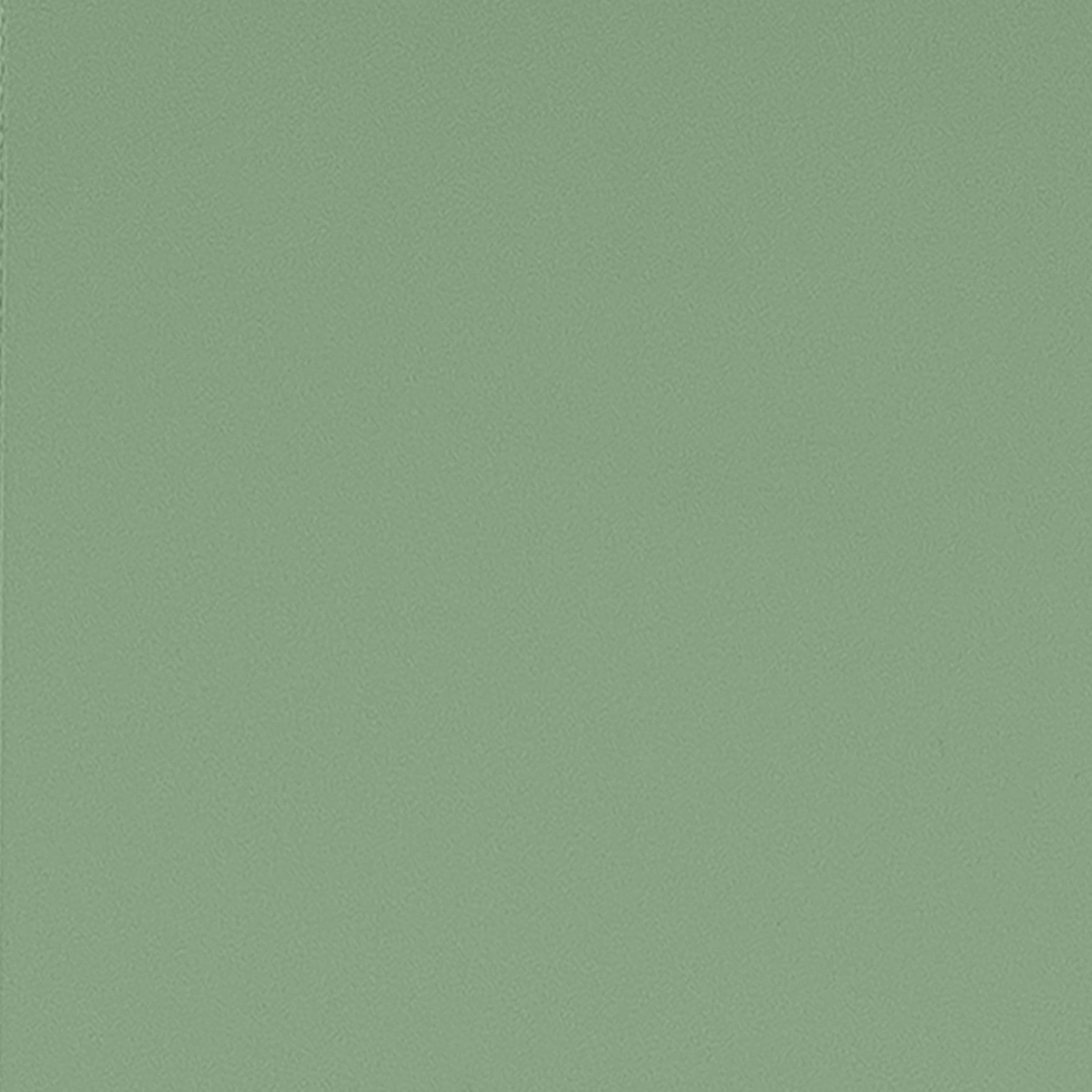 Arrow Select Galvanized Steel Storage Shed, Sage Green, 10-ft x 8-ft